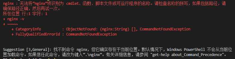 nginx_error